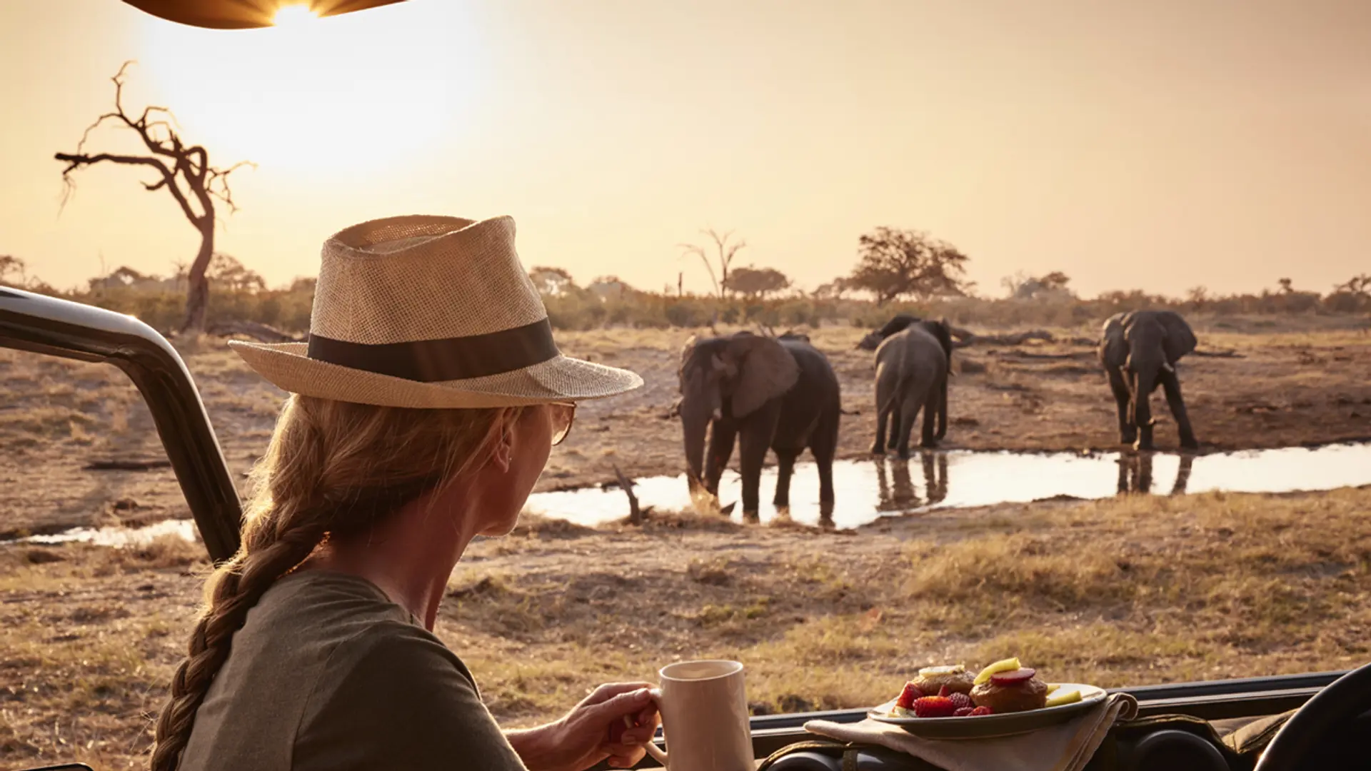 11 Best Modern Safari Experiences In The World